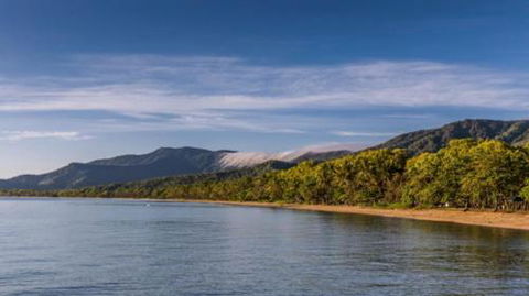 RED COWRIE 321atPALM COVE - Accommodation Mermaid Beach 3