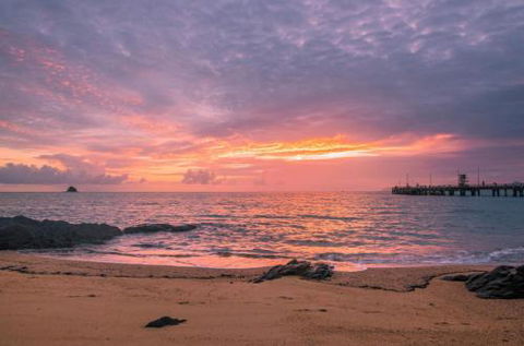 RED COWRIE 321atPALM COVE - Accommodation Mermaid Beach 5