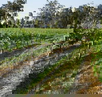 Renovated Cottage Aberdare Hunter Valley - Accommodation Mermaid Beach