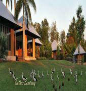 Feathers Sanctuary - Accommodation Mermaid Beach 6