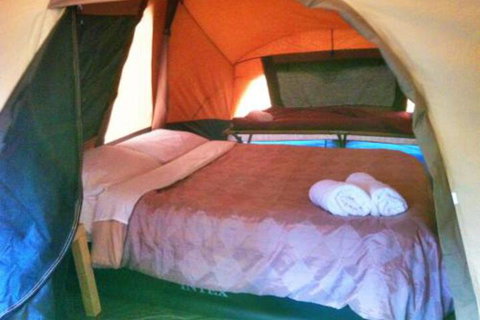 WA Wilderness Glamping - Accommodation Mermaid Beach 3