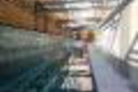 Amazing Lake View Apartment AtAlber Park  - Accommodation Mermaid Beach 6