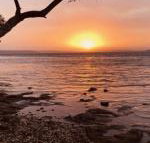 Paradise Beach Apartments - Accommodation Mermaid Beach