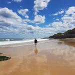 Arena Luxury Beachfront Apartment - Accommodation Mermaid Beach 0