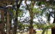 34 Bay Parklands 2 Gowrie Avenue WIFI Views Pool Spa & Tennis Court - thumb 0