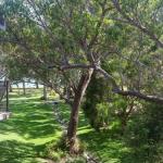 36 Bay Parklands 2 Gowrie Avenue Close To The Water With Pool & Spa & Tennis Court - Accommodation Mermaid Beach 0