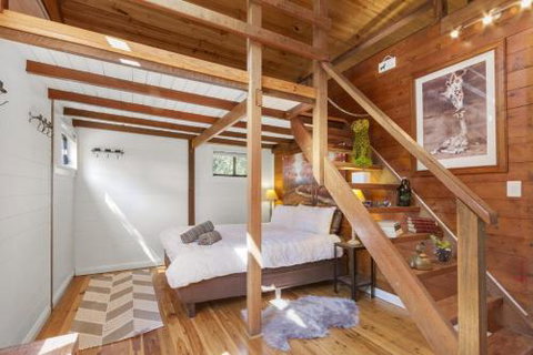 BLUE APPLE LODGE - Accommodation Mermaid Beach 4