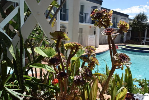 West Beach Lagoon 211 - Great Views - Accommodation Mermaid Beach 2