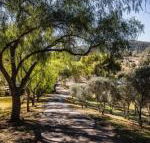 Capers Guesthouse Barn  Cottage - Accommodation Mermaid Beach