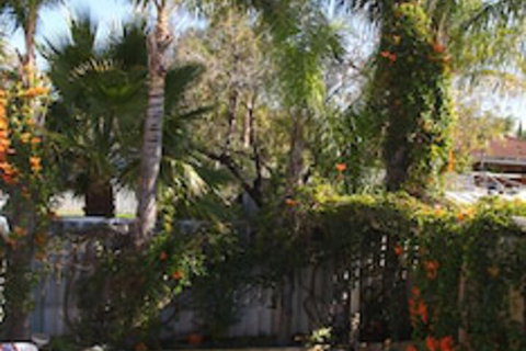 Astoria Retreat B&B - Accommodation Mermaid Beach 6