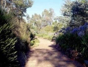 Kooringal Homestead - Accommodation Mermaid Beach 0