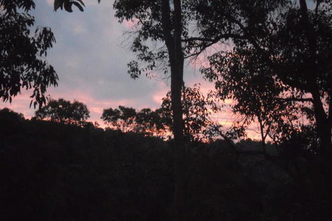 Bickley Valley Retreat - Accommodation Mermaid Beach 4