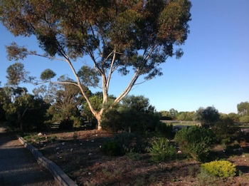 Murray Bridge Motor Inn - Accommodation Mermaid Beach 1