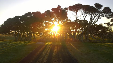 Low Head Tourist Park - Caravan Park - Accommodation Mermaid Beach 1