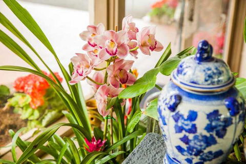 Kempsey Rose Motor Inn - Accommodation Mermaid Beach 7