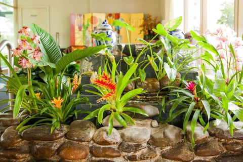 Kempsey Rose Motor Inn - Accommodation Mermaid Beach 5