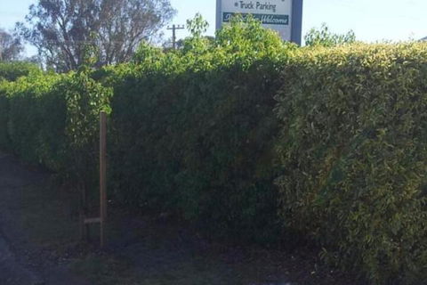 Glenndale Park Motel - Accommodation Mermaid Beach 4