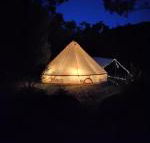 Glamping at Zeehan Bush Camp - Accommodation Mermaid Beach