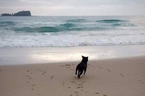 Breakers At Mudjimba Beach - Accommodation Mermaid Beach 0