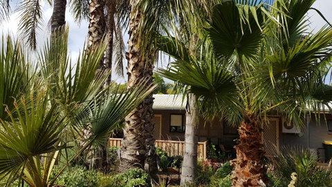 Red Ochre â€“ Large 1BR With Private Courtyard - Accommodation Mermaid Beach 3