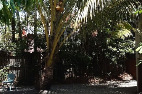 Paradise Travellers Rest - Accommodation Mermaid Beach 3