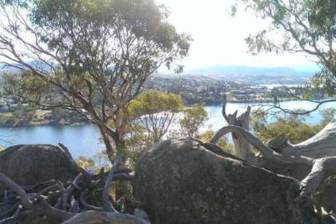 Horizons Resort 406 - Accommodation Mermaid Beach 3