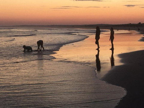 Cromarty Cottage 900m From Birubi Beach - Accommodation Mermaid Beach 6