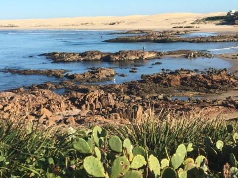 Cromarty Cottage 900m From Birubi Beach - Accommodation Mermaid Beach 4