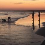 Cromarty Cottage 900m From Birubi Beach - Accommodation Mermaid Beach 0