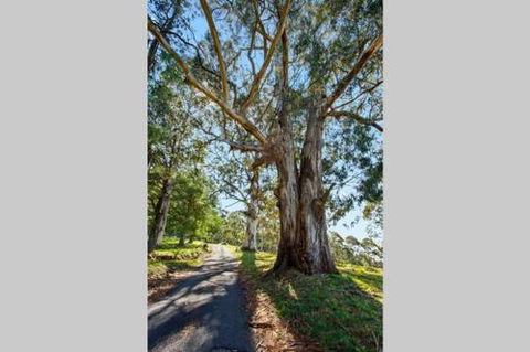 WOOLWAY - Accommodation Mermaid Beach 2