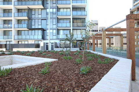 Arena On The Beach - Accommodation Mermaid Beach 0