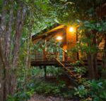 Wildwood - Accommodation Mermaid Beach