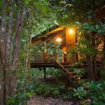 Wildwood - Accommodation Mermaid Beach 0