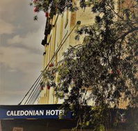 Caledonian Hotel - Accommodation Mermaid Beach