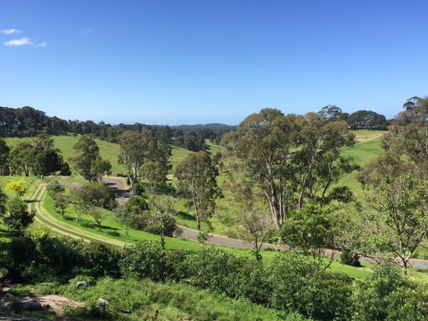 The Bryn At Tilba Family Cottage - Accommodation Mermaid Beach 0