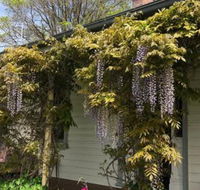 Clarence Cottage - Accommodation Mermaid Beach