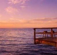 Straddie Bungalows - Accommodation Mermaid Beach