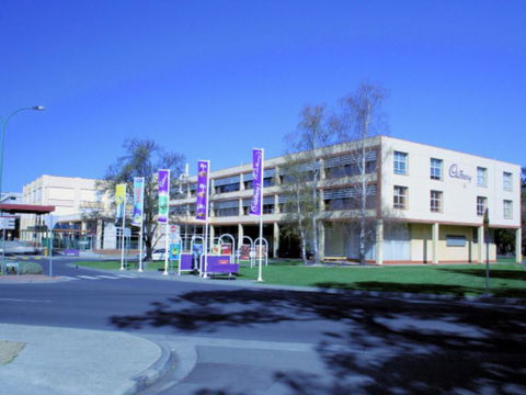 Mellowtrees Accommodation - Accommodation Mermaid Beach 4