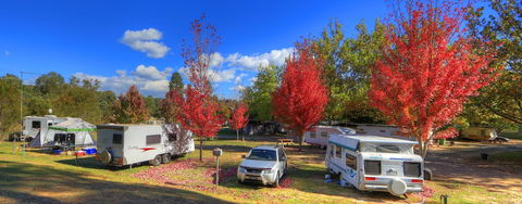 Beechworth Lake Sambell Caravan Park - Accommodation Mermaid Beach 0