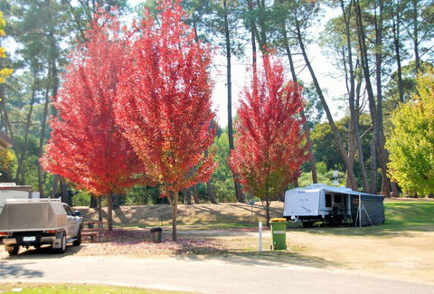 Beechworth Lake Sambell Caravan Park - Accommodation Mermaid Beach 1