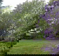 Petersons Armidale Winery  Guesthouse - Accommodation Mermaid Beach