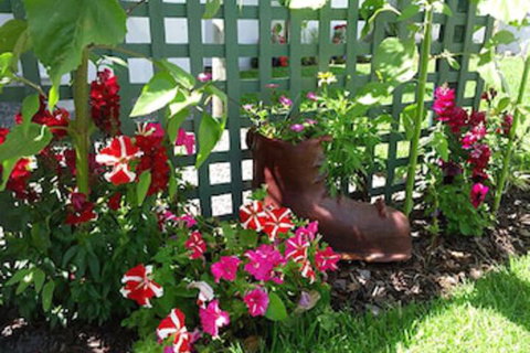 Albany Bayview Lodge YHA - Accommodation Mermaid Beach 0