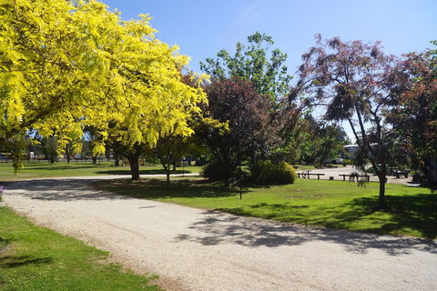 All Seasons Mansfield - Accommodation Mermaid Beach 5