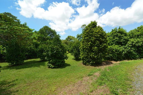 Tea Tree Cottage - Accommodation Mermaid Beach 5