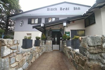 Black Bear Inn - Accommodation Mermaid Beach 1