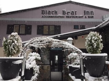 Black Bear Inn - Accommodation Mermaid Beach 0