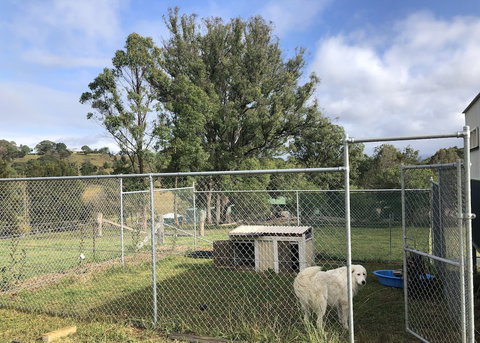 Bryn Glas Farm Stay - Accommodation Mermaid Beach 3