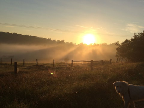 Bryn Glas Farm Stay - Accommodation Mermaid Beach 2