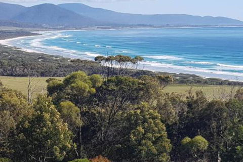 Bicheno S Ocean View Retreat - Accommodation Mermaid Beach 0