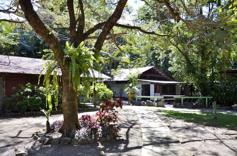 PKs Jungle Village - Hostel - Accommodation Mermaid Beach 5